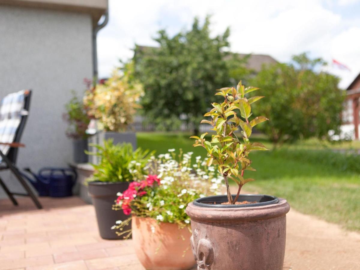 Sunny Flat In Bad Driburg With Garden Apartment Luaran gambar